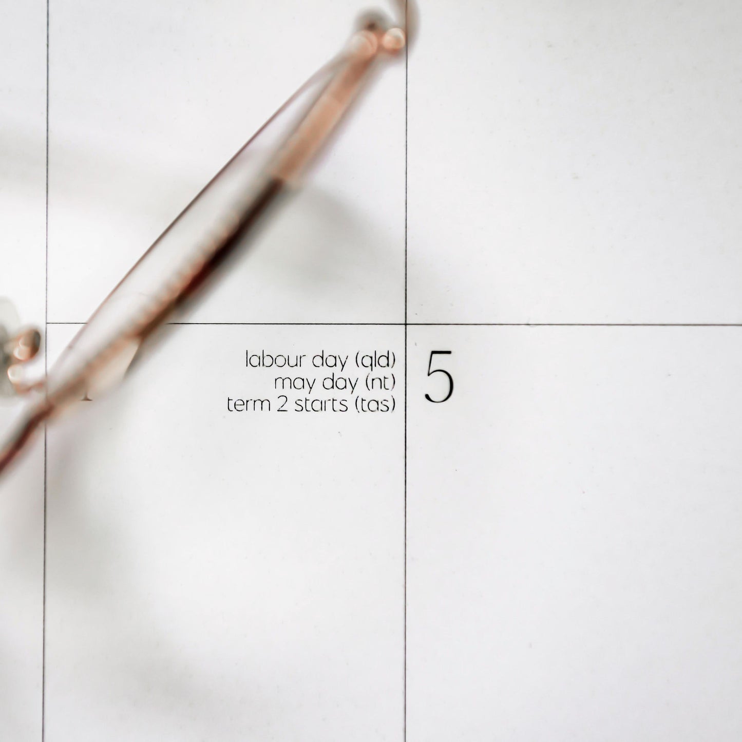 2026 Wall Calendar - Preorder