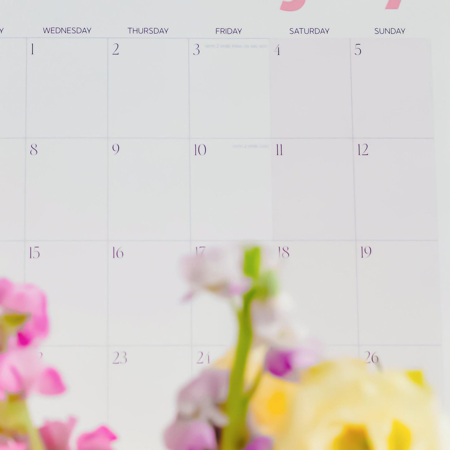 2026 Wall Calendar - Preorder